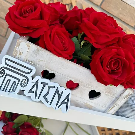 Atena Gold San Silvestro (Pescara)